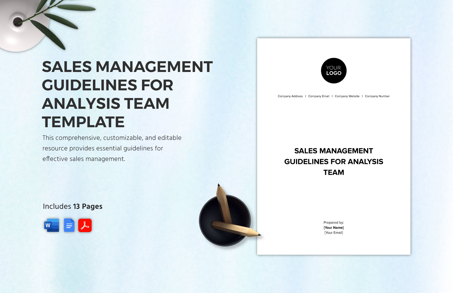 Sales Management Guidelines for Analysis Team Template