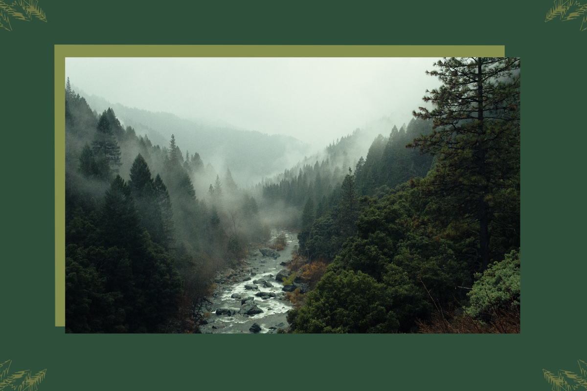 Free Landscape Postcard Template