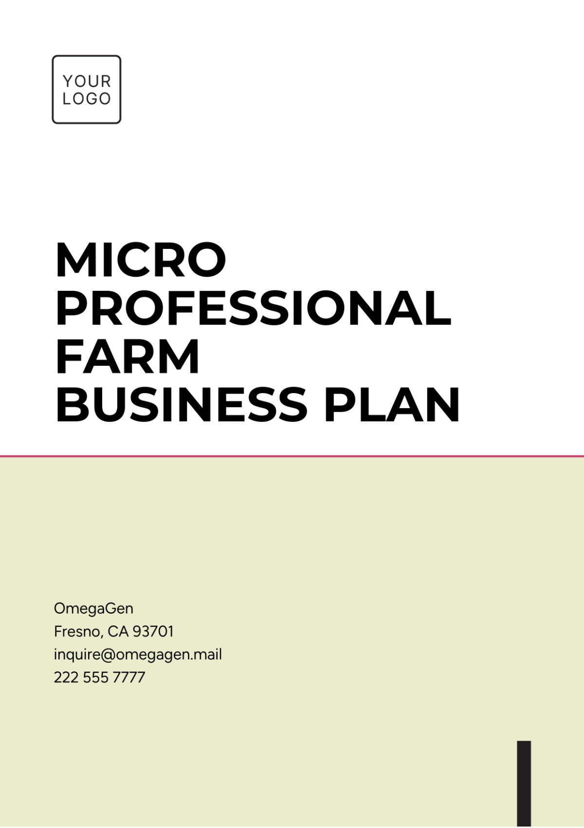 Free Micro Professional  Fram Business Plan Template