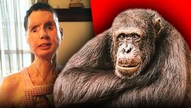 Charla Nash Now In 2024: What Happened to Chimp Crazy Victim