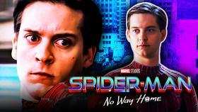 Spider-Man: No Way Home Star Reveals How Sony Reacted to Tobey Maguire Leaks