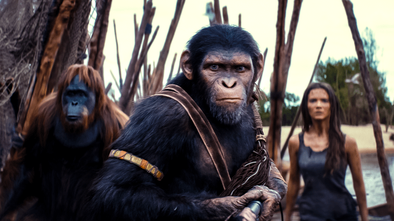 A still from Kingdom of the Planet of the Apes