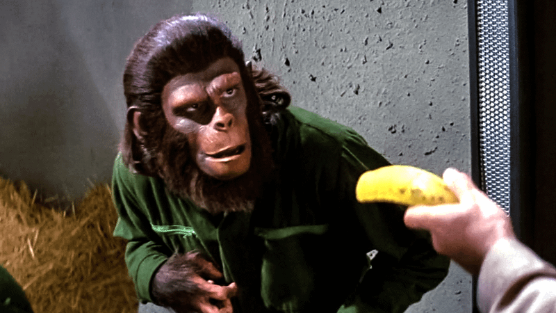 A still from Conquest of the Planet of the Apes