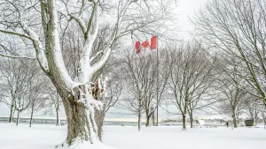 How much snow can you expect in November? Find out, here