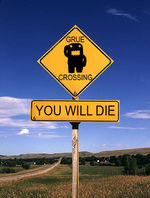 Grue crossing.jpg