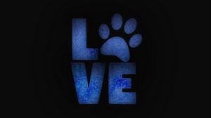 Preview wallpaper love, paw, animals, care