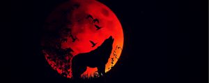 Preview wallpaper wolf, howl, silhouette, full moon, fire moon