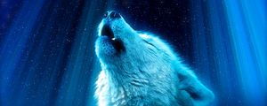 Preview wallpaper wolf, predator, howl, white, blue