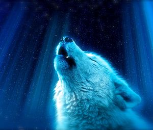 Preview wallpaper wolf, predator, howl, white, blue