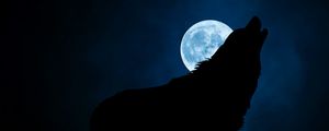 Preview wallpaper wolf, silhouette, moon, night