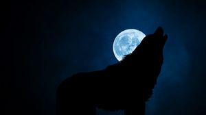 Preview wallpaper wolf, silhouette, moon, night