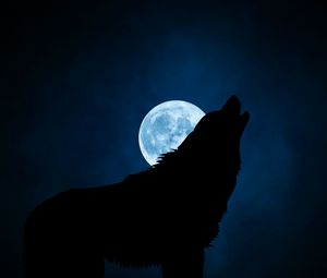 Preview wallpaper wolf, silhouette, moon, night