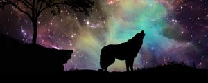 Preview wallpaper wolf, starry sky, silhouette, art