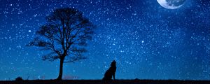 Preview wallpaper wolf, starry sky, tree, moon