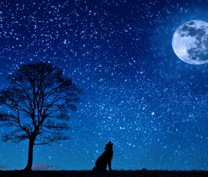 Preview wallpaper wolf, starry sky, tree, moon