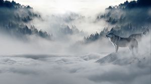 Preview wallpaper wolf, wolves, predators, fog, snow, mountains