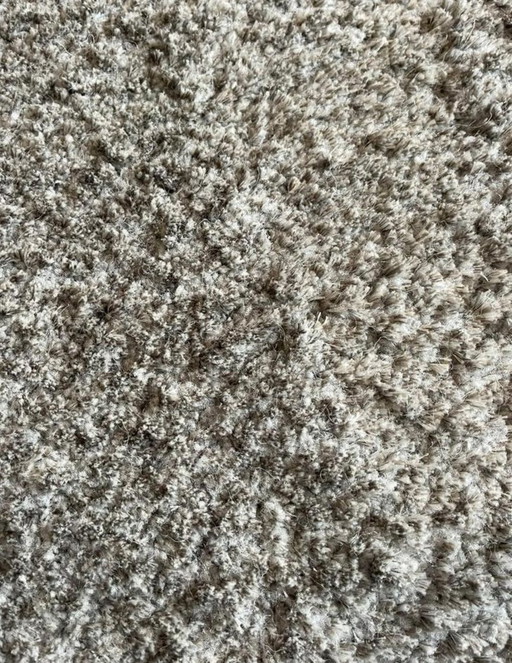 Leolux Amund Carpet Husky 240 X 340