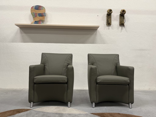 2 Leolux Dolcinea Armchairs Wapiti Toerakoe Leather