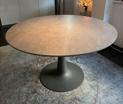 Round Dining Table Leolux Columns