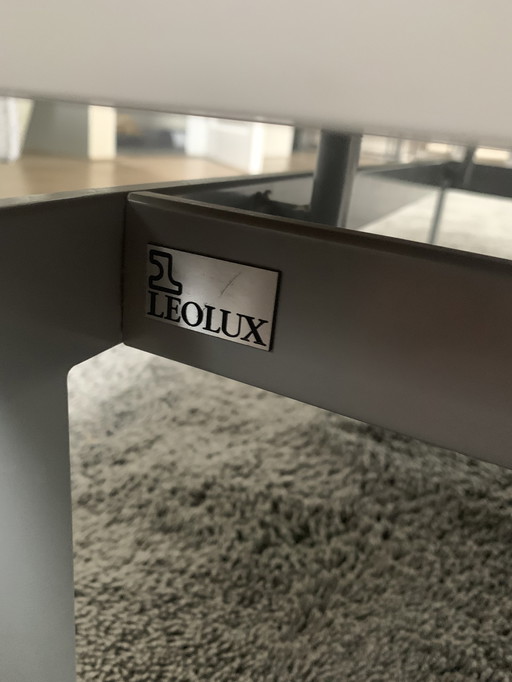 Leolux coffee table