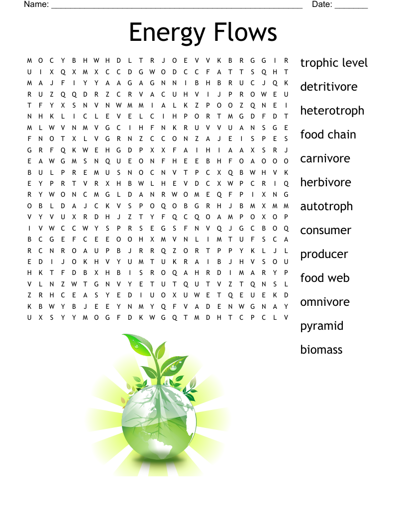 Energy Flows Word Search