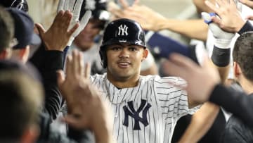 Sep 8, 2023; Bronx, New York, USA;  New York Yankees center fielder Jasson Dominguez (89) is greeted in the dugout after hitting a home run in the third inning against the Milwaukee Brewers at Yankee Stadium. Mandatory Credit: Wendell Cruz-USA TODAY Sports