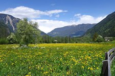 wiesen im tauferer tal fruehling