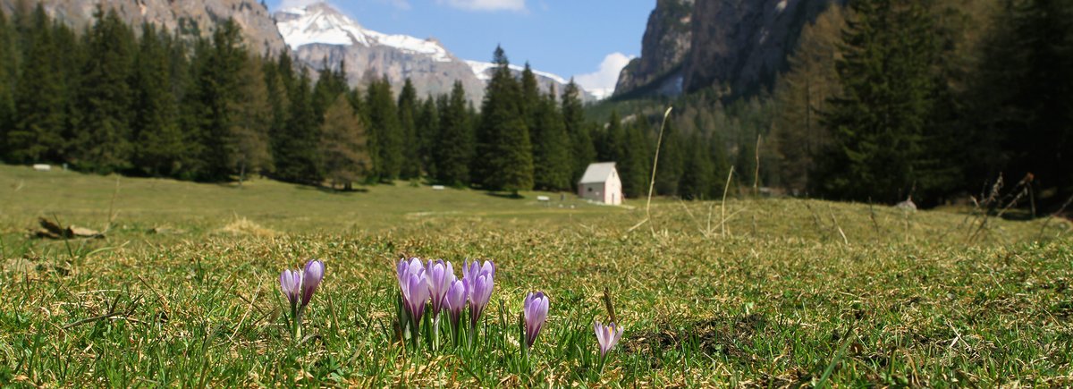 header Groeden Fruehling Langental