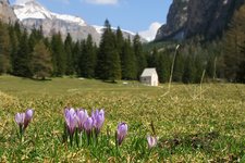 header Groeden Fruehling Langental