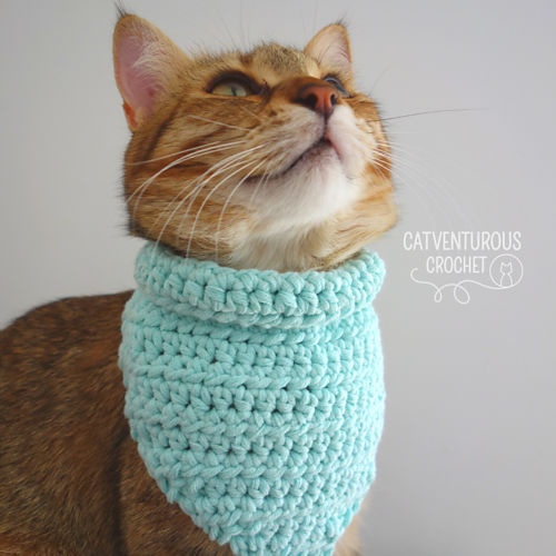 Ravelry: Orson Button Up Cat Bandana pattern by Charlotte Gillbanks