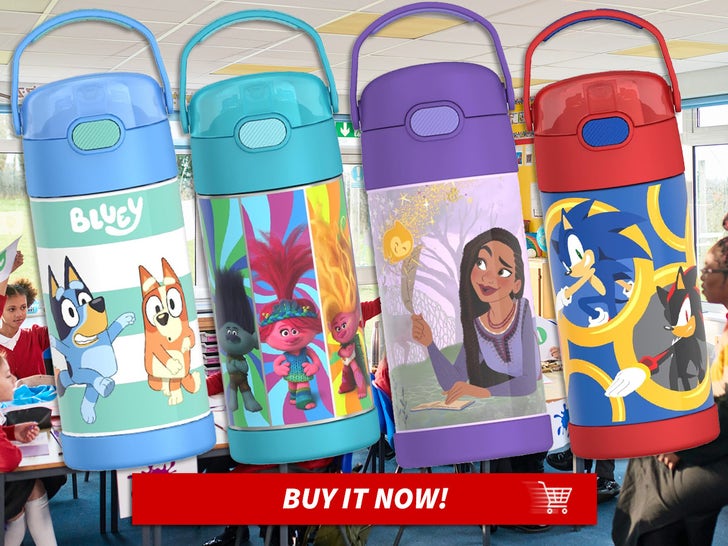 THERMOS-FUNTAINER-Character-Water-Bottle-with-Straw-Bluey-Despicable-Me-4-Trolls-3-Little-Mermaid-Sonic-MAIN