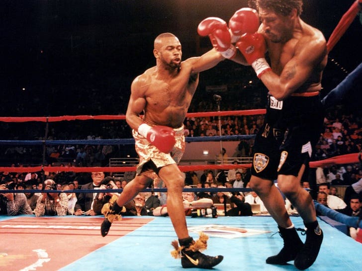 Roy Jones Jr Fight Photos