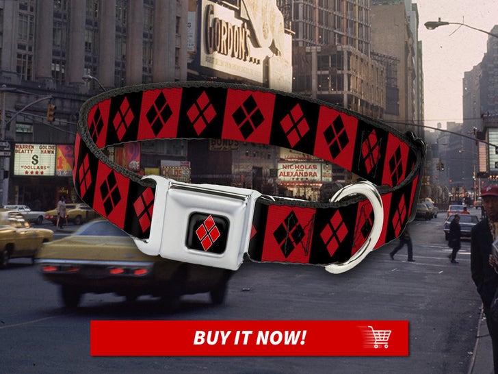 Harley-Quinn-dog-collar-MAIN