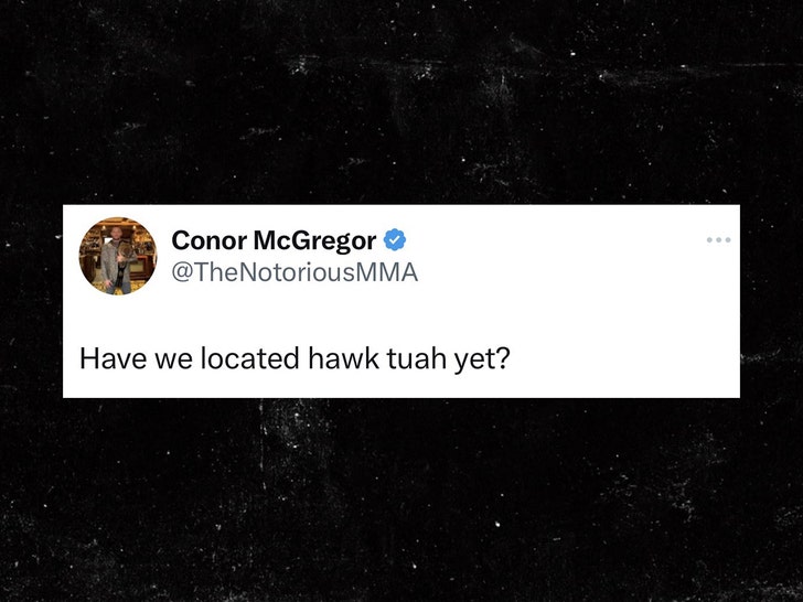 conor mcgregor and hawk tuah gir