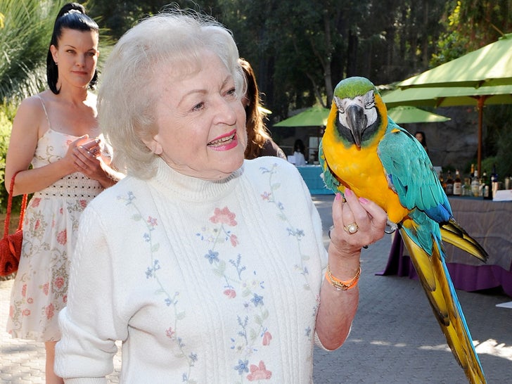 Celebrities With Birds