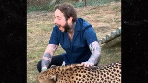 061919_post_malone_primary