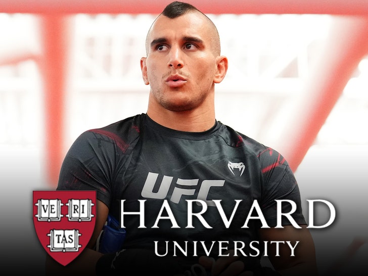 Natan Levy ufc harvard gety 1