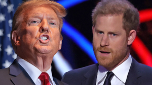 prince harry trump