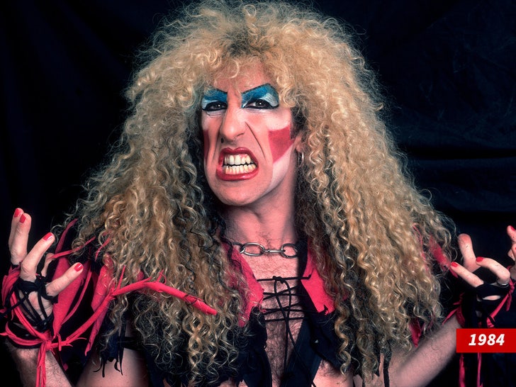 Dee snider sub 80s