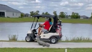 022824-alligator-golf-cart-primary