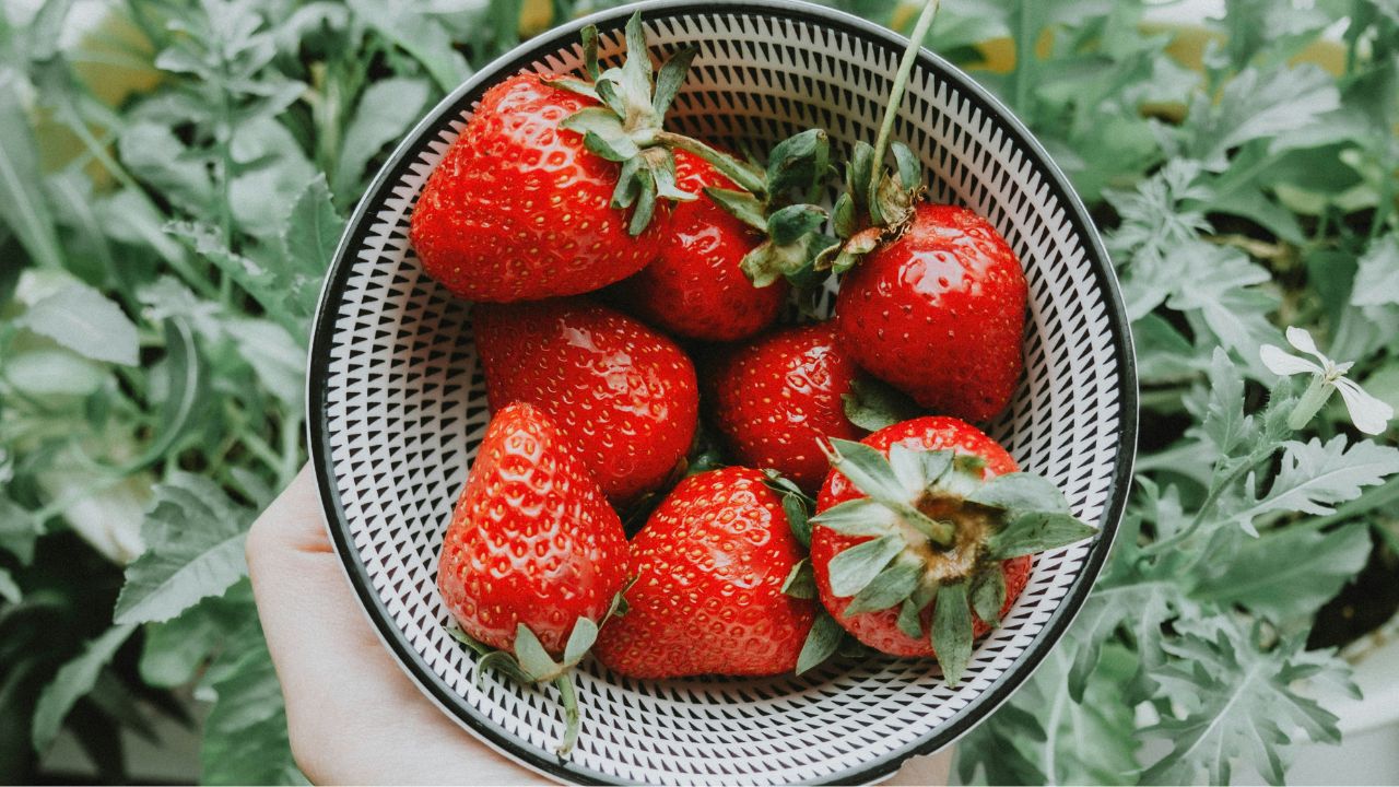 Can OpenAI’s Strawberry program deceive humans?