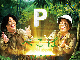 ぺこぱ単独ライブ「P」