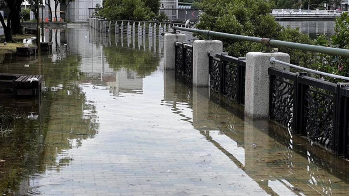 台南「這條路」人行道變滑水道 他警告：滿潮淹水恐成常態