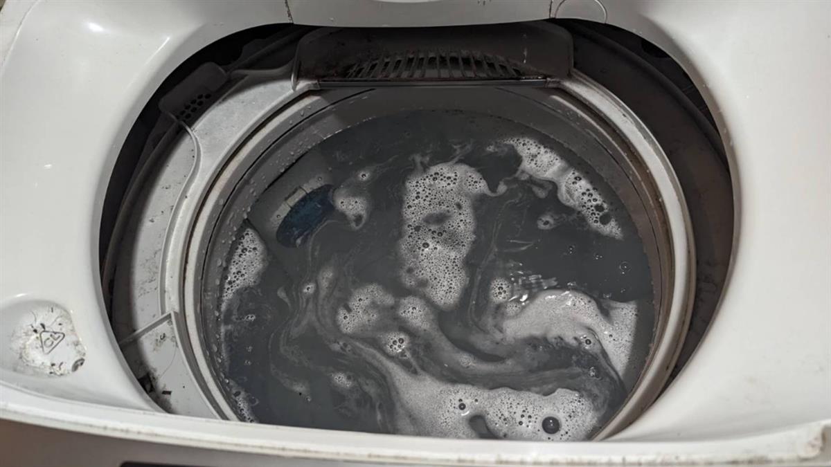 洗租屋處洗衣機！沖出整桶「海帶湯」 過來人曝：用這物最有效