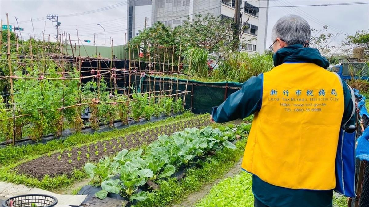 爸過世20年！女不知繼承「90坪土地」險遭法拍 稅務局出手