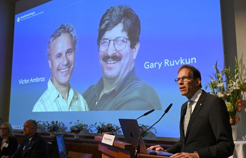 Les Américains Victor Ambros et Gary Ruvkun, prix Nobel de médecine