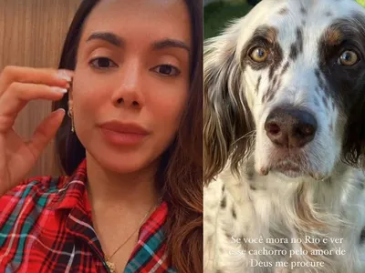 Cachorro de Anitta some na noite de Natal e cantora passa madrugada procurando o cão