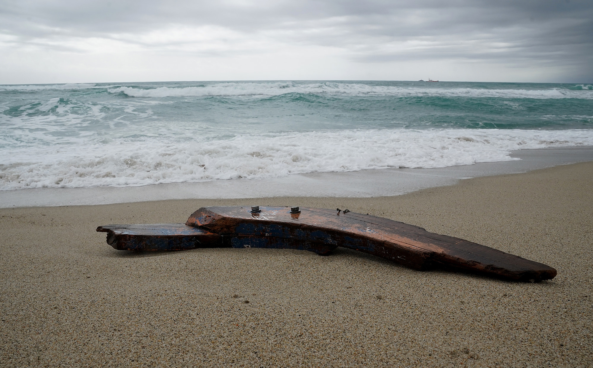 Waterlogged pieces of wood are washed up on a shore on a beach