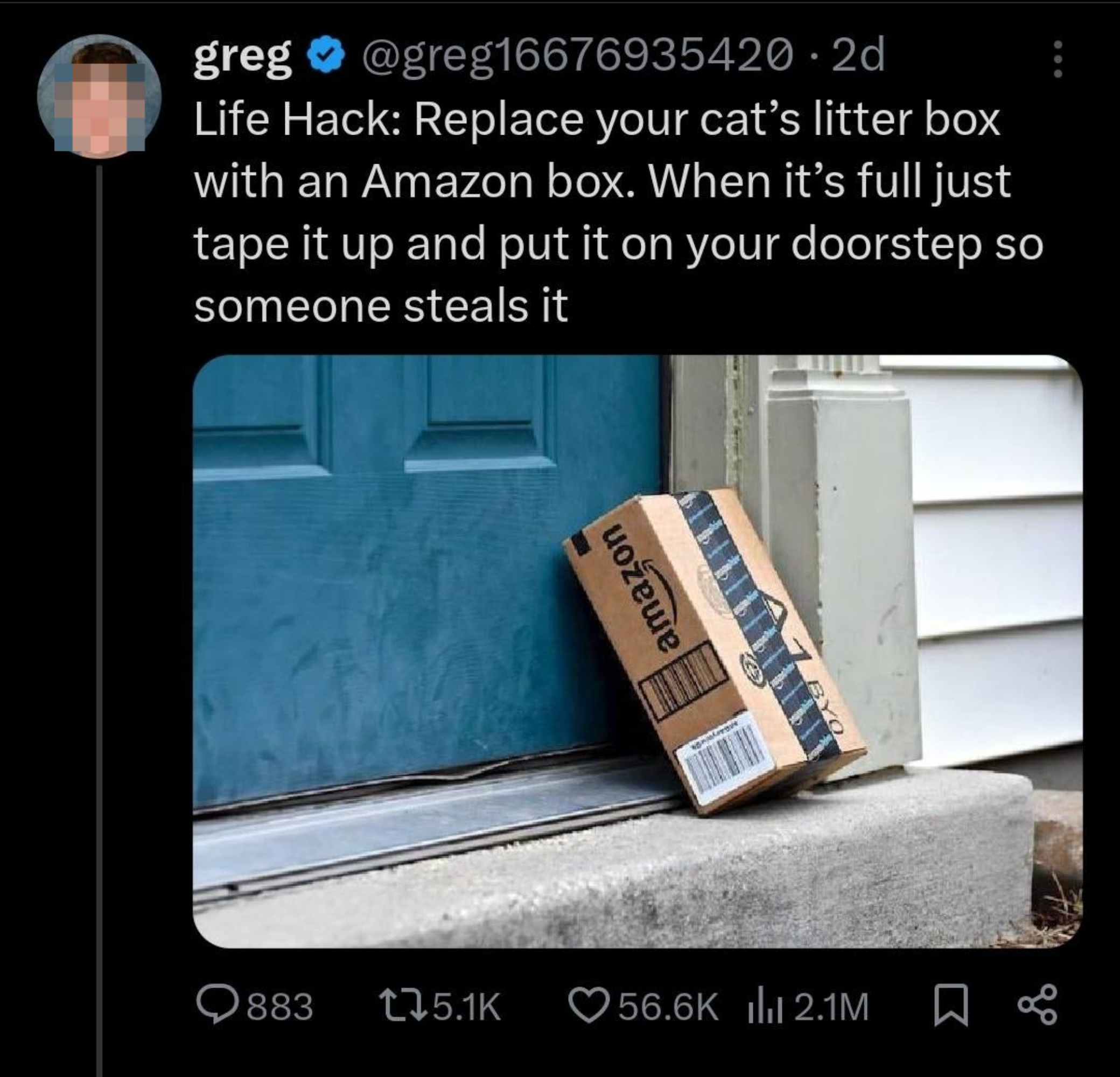 Twitter post by user &quot;greg&quot; with a life hack about replacing a cat&#x27;s litter box with an Amazon box to have it stolen. Includes photo of an Amazon box at a doorstep