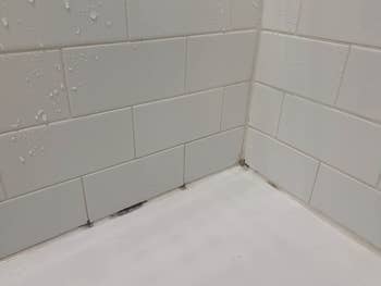 a reviewer photo of mold on a shower wall